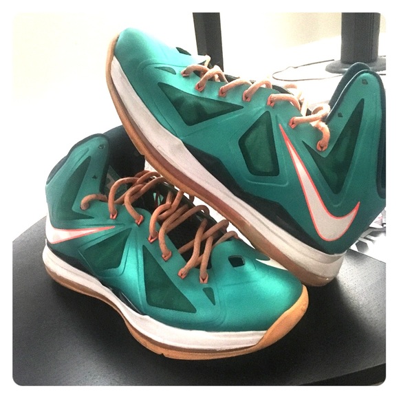 lebron x dolphins